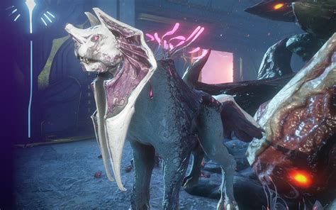 Consign pet warframe The Kubrow are a canine-like egg-laying species that originally served as companions and pets